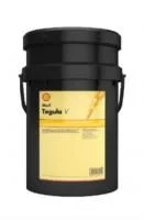 Shell Tegula V 32