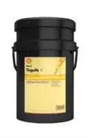 Shell Tegula V 32